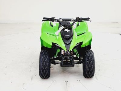2025 Kawasaki KFX90 - Photo 1