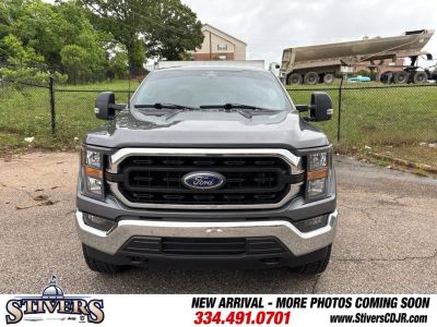 2023 Ford F-150 - Photo 2