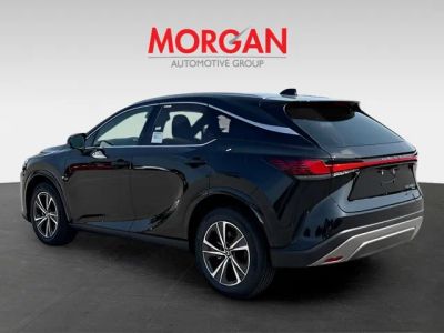 2026 Lexus RX — detail view