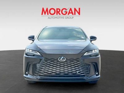 2026 Lexus RX — photo 8 view