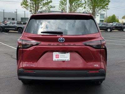 2025 Toyota Sienna - Photo 6