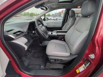 2025 Toyota Sienna - Photo 8
