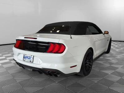 2019 Ford Mustang — detail view