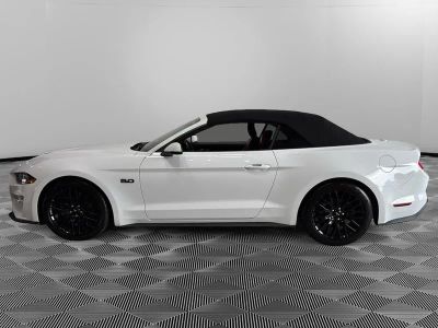 2019 Ford Mustang — side profile view