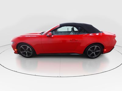 2024 Ford Mustang - Photo 4