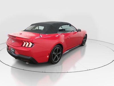 2024 Ford Mustang - Photo 7