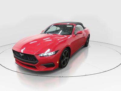 2024 Ford Mustang - Photo 3