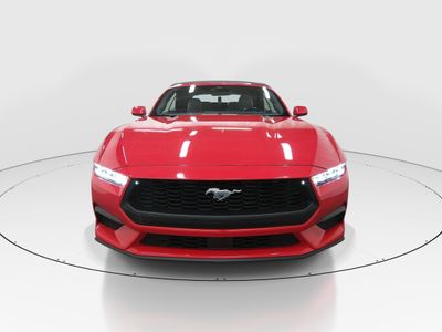 2024 Ford Mustang - Photo 2