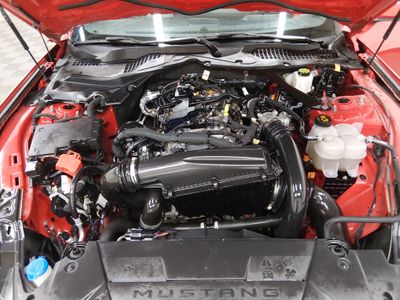 2024 Ford Mustang - Photo 9