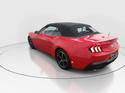 2024 Ford Mustang - Photo 5