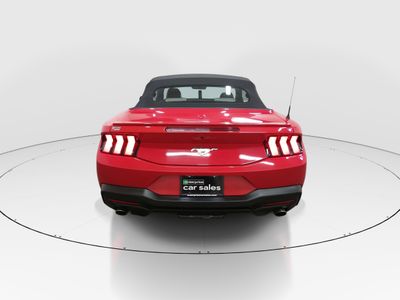 2024 Ford Mustang - Photo 6