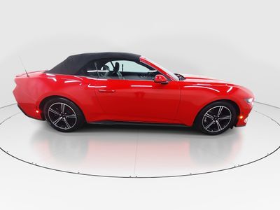 2024 Ford Mustang - Photo 8