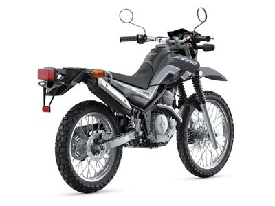 2025 Yamaha XT250 - Photo 6