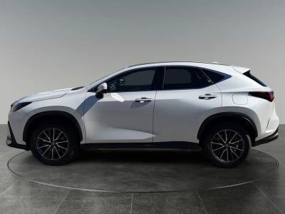 2024 Lexus NX — detail view