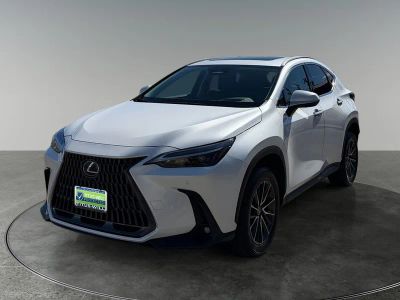 2024 Lexus NX — rear three-quarter view