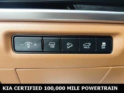 2025 Kia Telluride - Photo 19