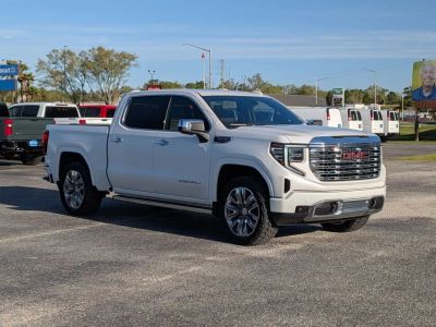 2024 GMC Sierra 1500 - Photo 3
