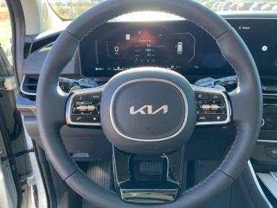 2026 Kia Carnival Hybrid — photo 12 view