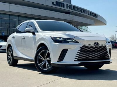 2024 Lexus RX - Photo 2