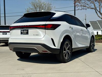 2024 Lexus RX - Photo 8