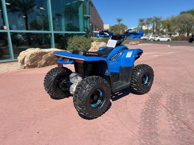 2026 Denago Powersports E-Hawk 6 - Photo 5