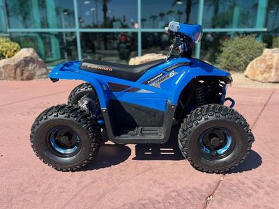 2026 Denago Powersports E-Hawk 6 - Photo 1