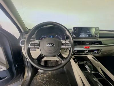 2020 Kia Telluride — photo 14 view
