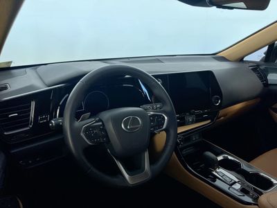 2024 Lexus NX - Photo 24