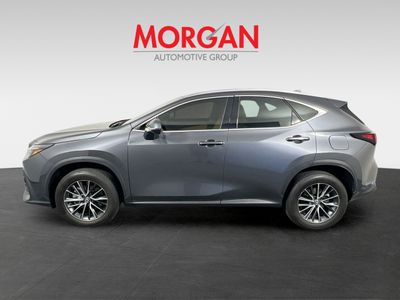 2024 Lexus NX - Photo 3