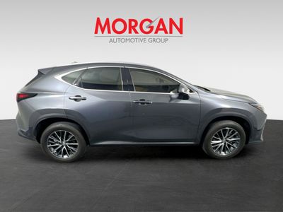 2024 Lexus NX - Photo 2