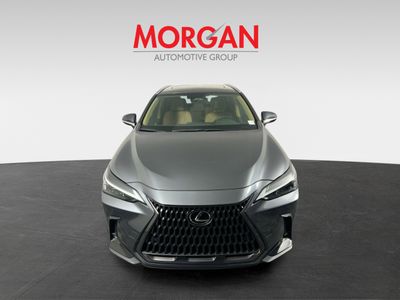 2024 Lexus NX - Photo 5