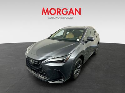 2024 Lexus NX - Photo 4
