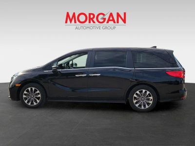 2024 Honda Odyssey — detail view