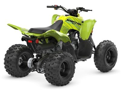 2026 Yamaha Raptor 110 - Photo 6