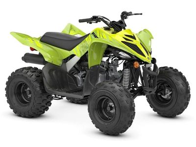 2026 Yamaha Raptor 110 - Photo 3