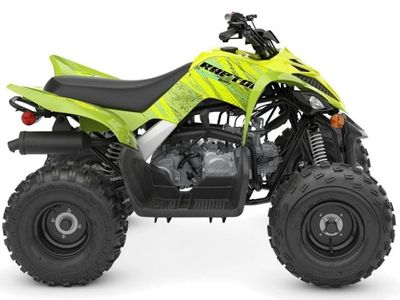 2026 Yamaha Raptor 110 - Photo 1