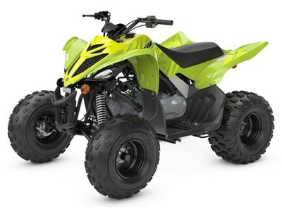 2026 Yamaha Raptor 110 - Photo 4