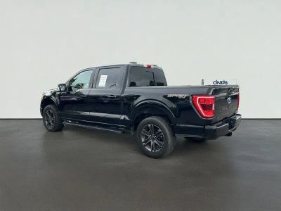2021 Ford F-150 — detail view