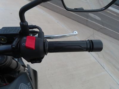 2025 Honda CB300R - Photo 10