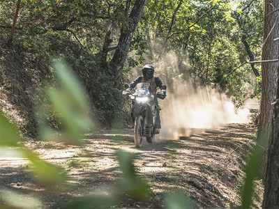 2025 Kawasaki KLR650 - Photo 20