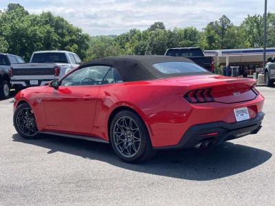 2024 Ford Mustang - Photo 6