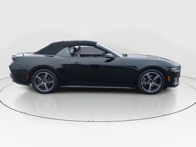 2024 Ford Mustang - Photo 8