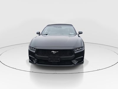 2024 Ford Mustang - Photo 2