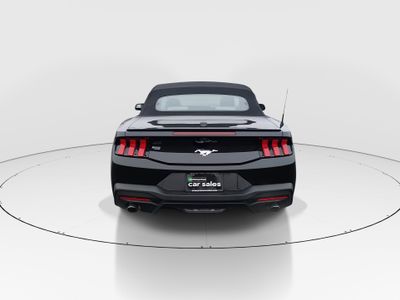 2024 Ford Mustang - Photo 6