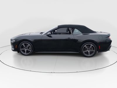 2024 Ford Mustang - Photo 4