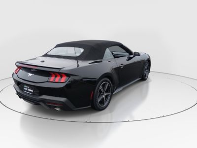 2024 Ford Mustang - Photo 7