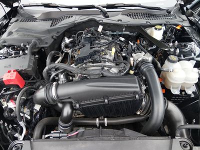 2024 Ford Mustang - Photo 9