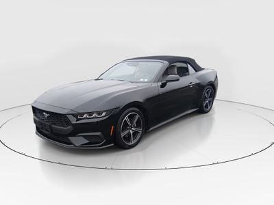 2024 Ford Mustang - Photo 3