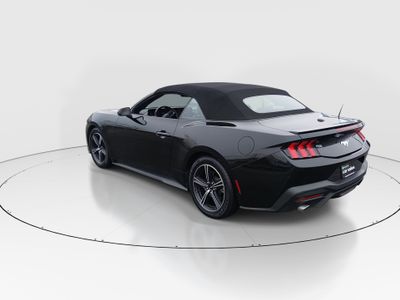 2024 Ford Mustang - Photo 5