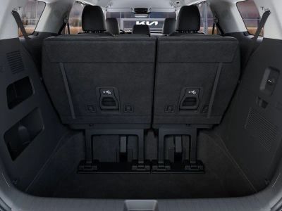 2026 Kia Carnival Hybrid — photo 19 view